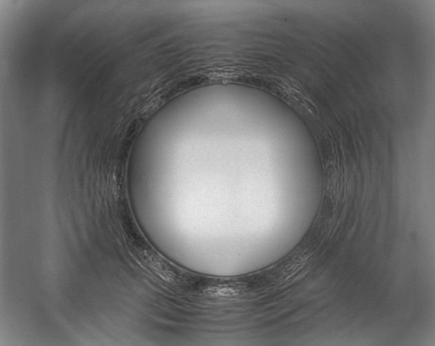 X0000057080655200509090914
