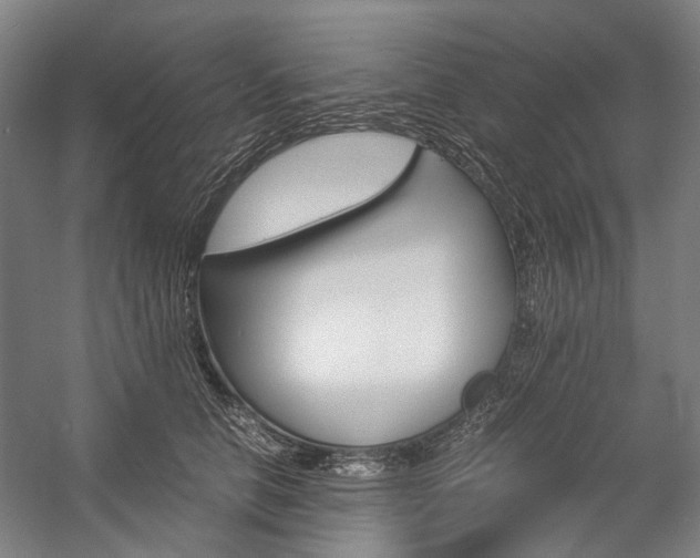 X0000057080658200509090914