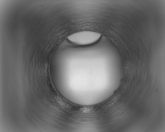X0000057080660200509090914