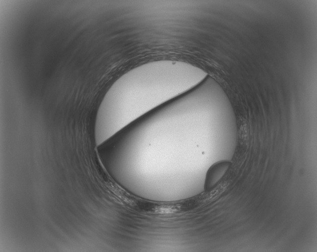 X0000057080662200509090914