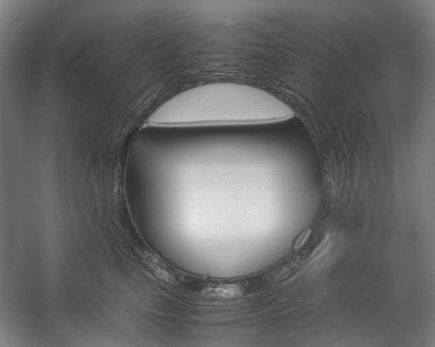 X0000057080665200509090914