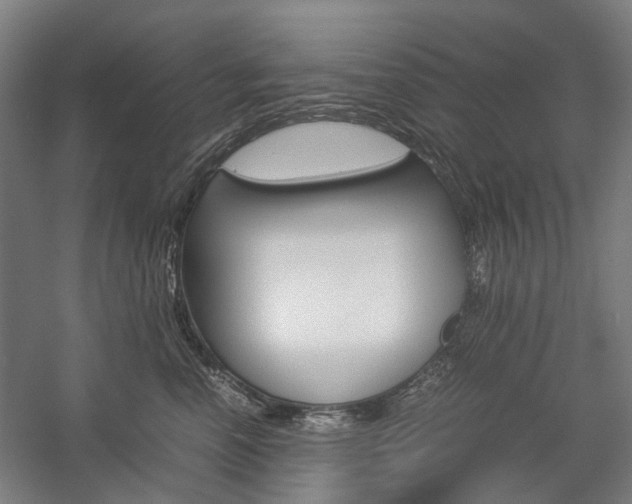 X0000057080666200509090914