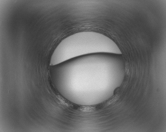X0000057080670200509090914