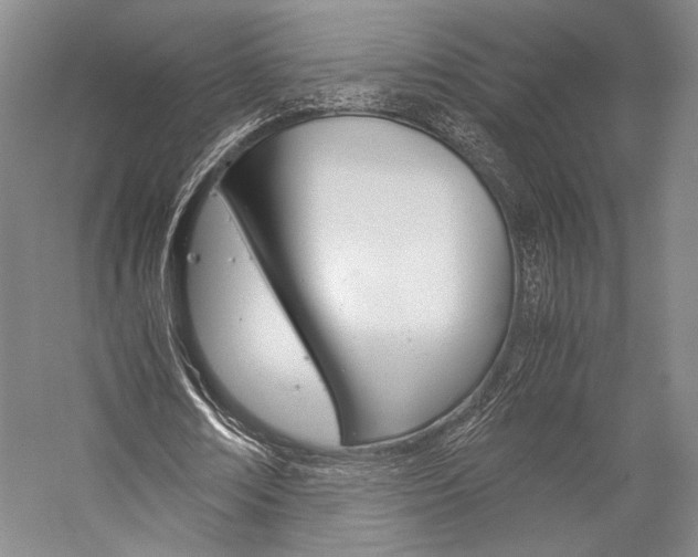 X0000057080674200509090913