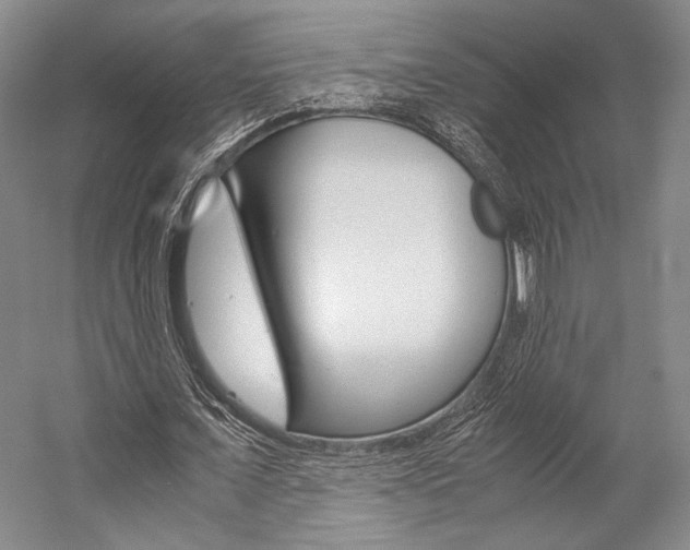 X0000057080675200509090913
