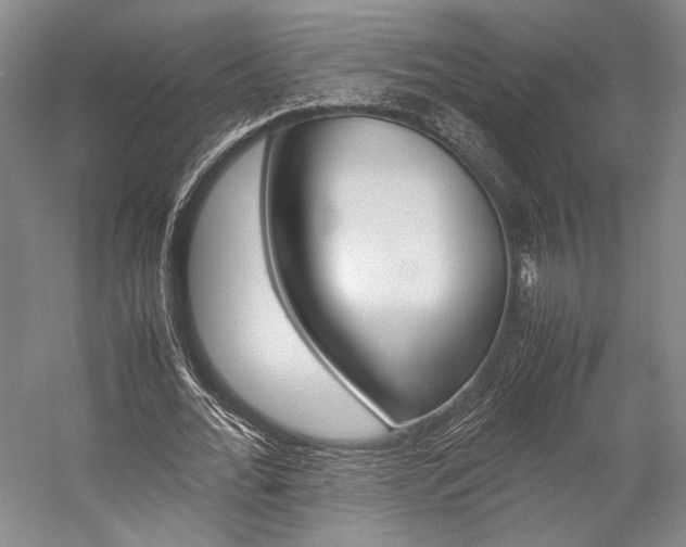 X0000057080676200509090913