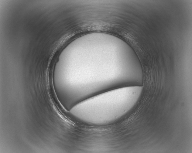 X0000057080678200509090913