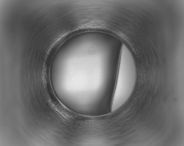 X0000057080680200509090913