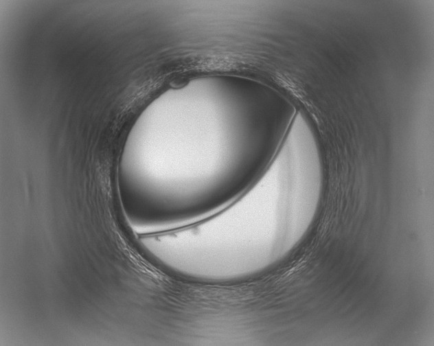 X0000057080681200509090913