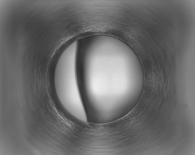 X0000057080688200509090913
