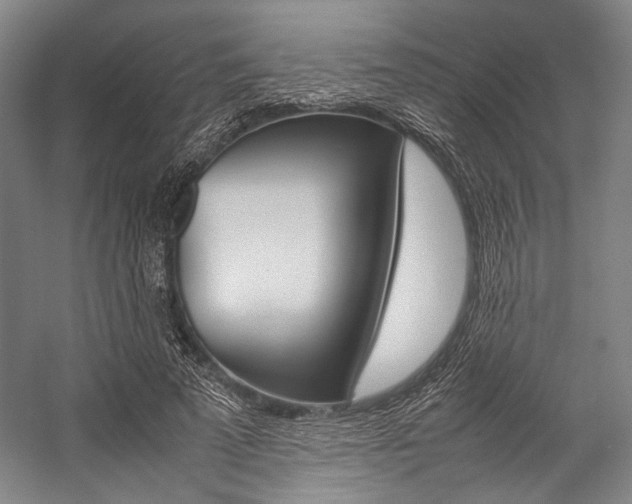 X0000057080689200509090913