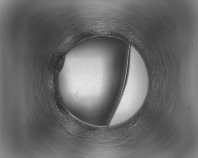 X0000057080693200509090913