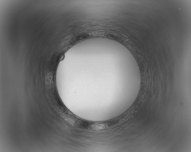 X0000057080711200509090913