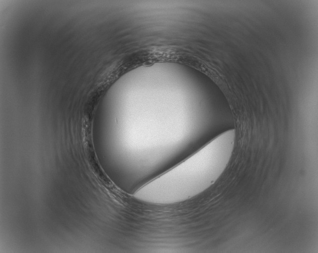 X0000057080712200509090913