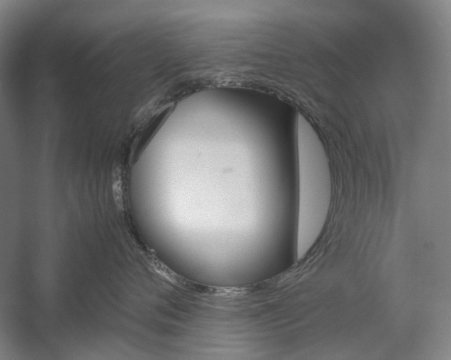 X0000057080720200509090912