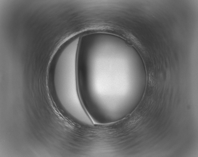 X0000057080724200509090912