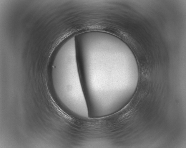 X0000057080725200509090912