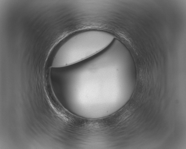 X0000057080730200509090912