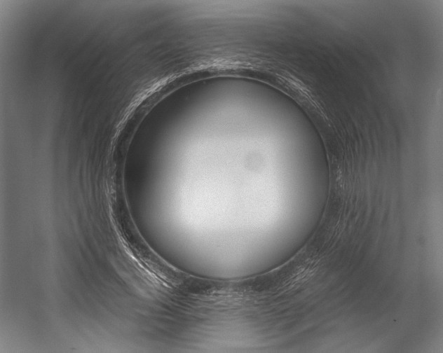 X0000057080732200509090912