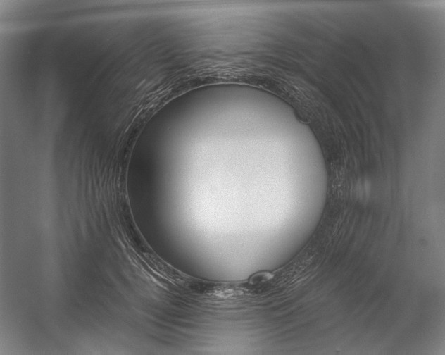 X0000057080752200509090912