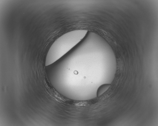 X0000057080761200509090912