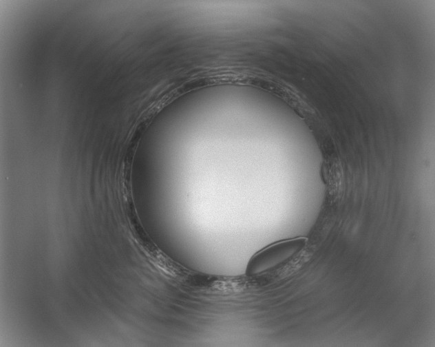 X0000057080764200509090912