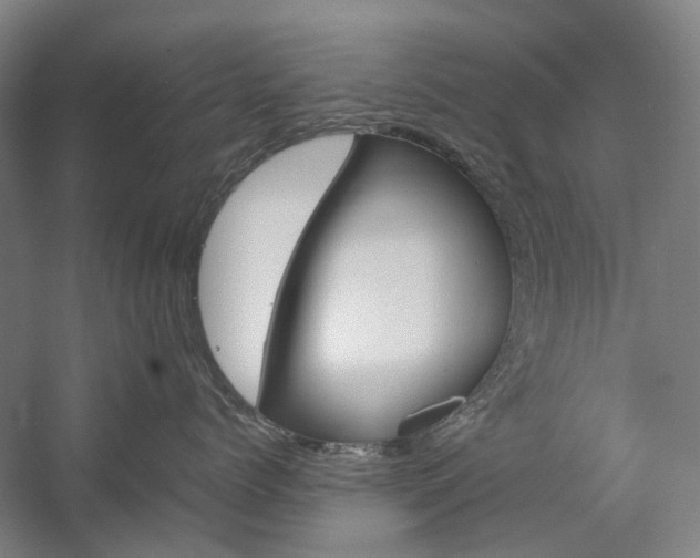 X0000057080768200509090912