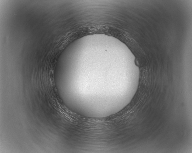 X0000057080770200509090912