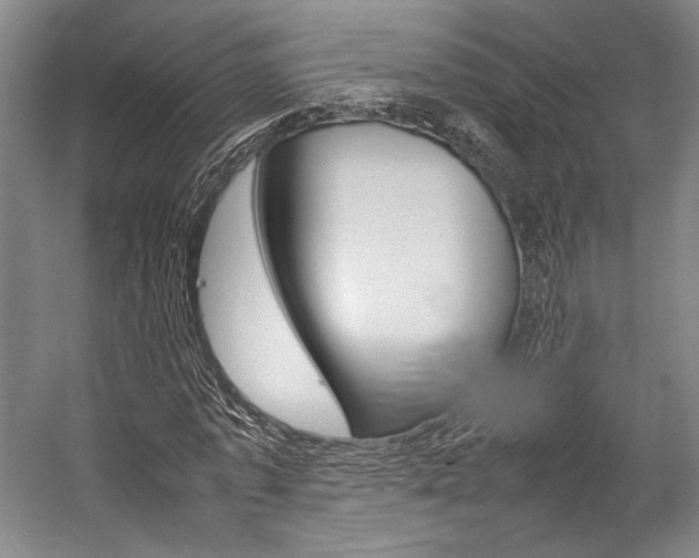 X0000057080773200509090912