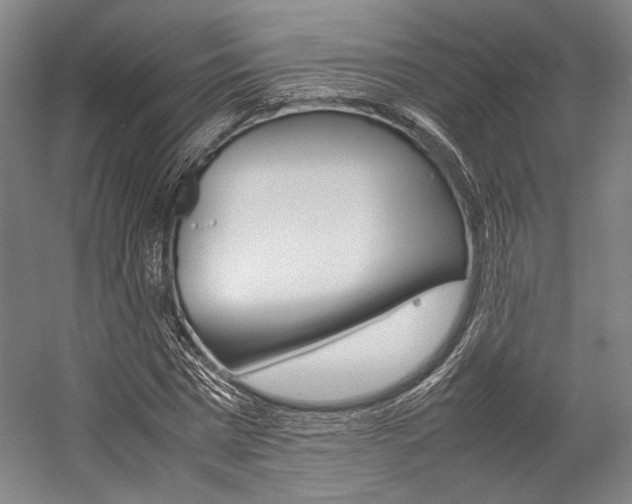 X0000057080777200509090911