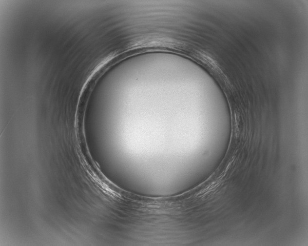 X0000057080780200509090911