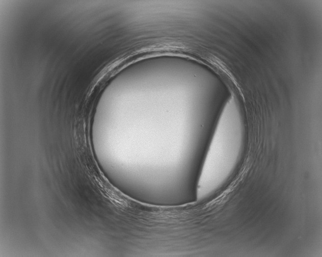 X0000057080781200509090911