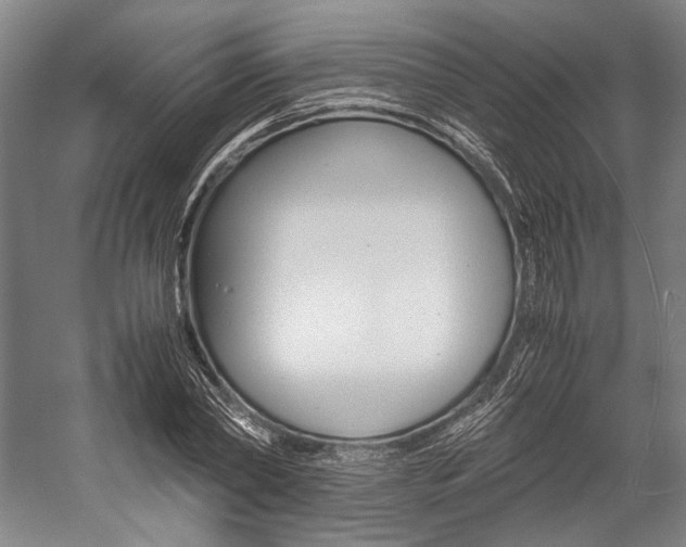 X0000057080782200509090911