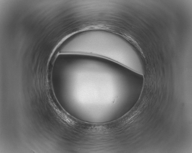 X0000057080784200509090911