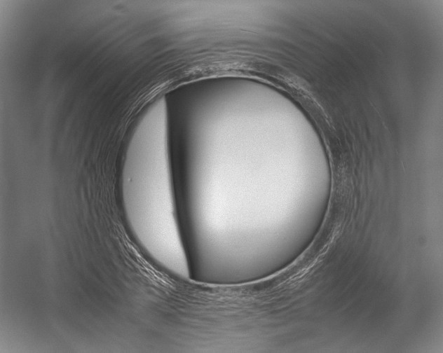 X0000057080785200509090911