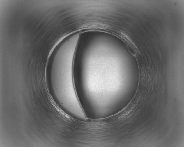 X0000057080788200509090911