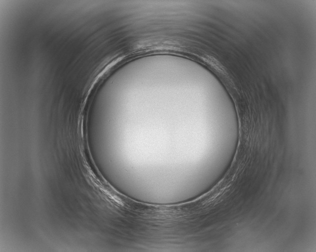 X0000057080790200509090911