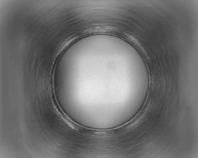 X0000057080794200509090911