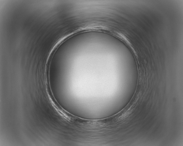 X0000057080795200509090911