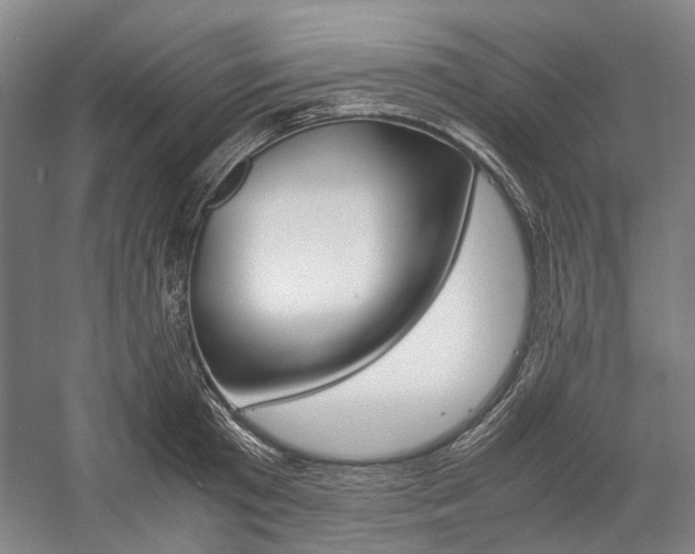 X0000057080801200509090911