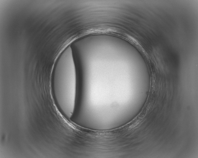 X0000057080802200509090911