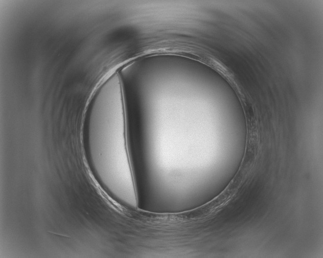 X0000057080803200509090911