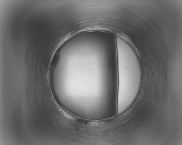 X0000057080805200509090911