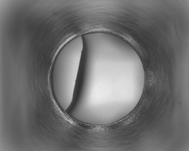 X0000057080806200509090911