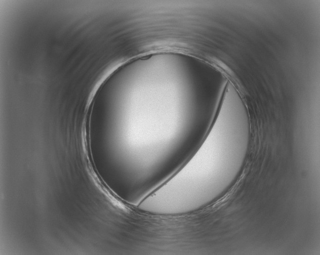 X0000057080812200509090911