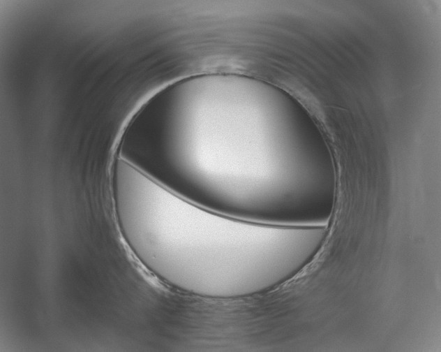 X0000057080816200509090911