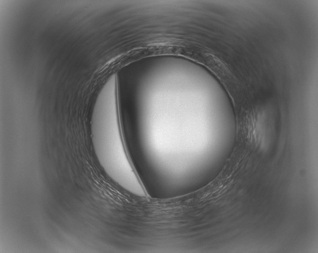 X0000057080821200509090910