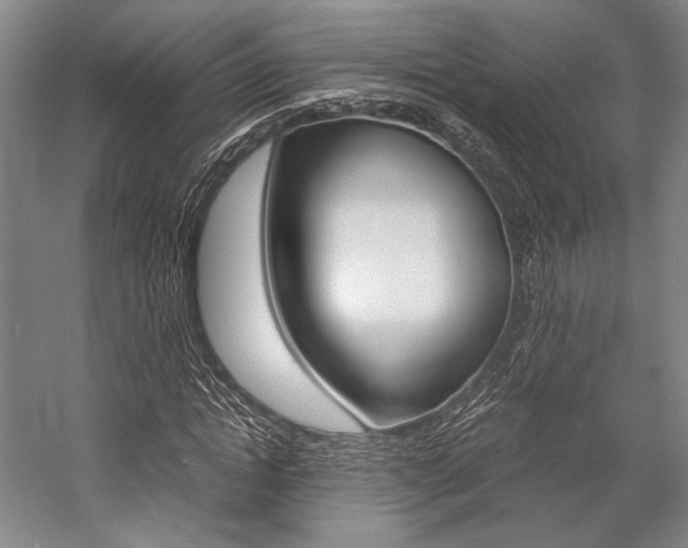 X0000057080822200509090910