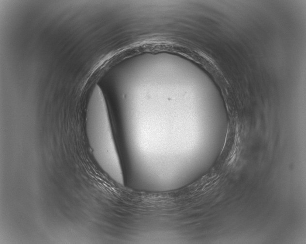 X0000057080823200509090910