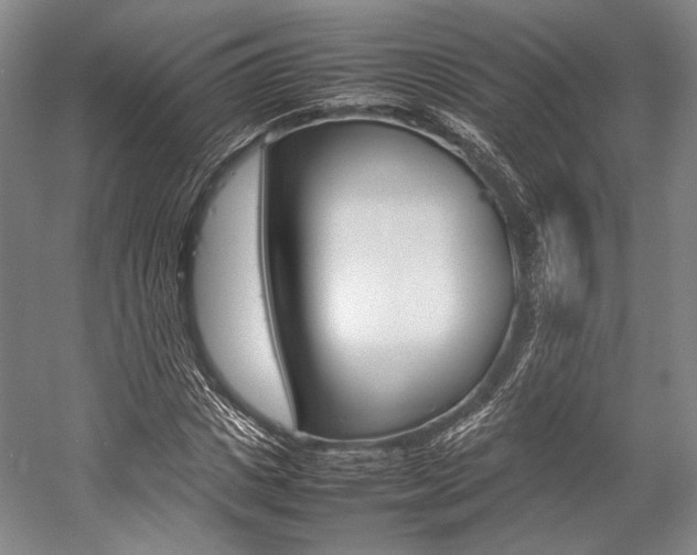 X0000057080825200509090910